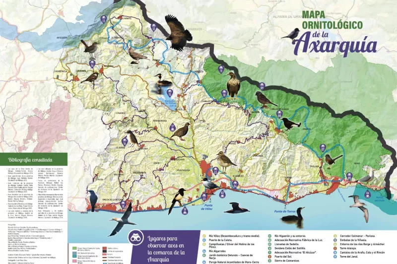 La Viñuela, Periana, Canillas de Aceituno y Alcaucín brillan en el nuevo mapa ornitológico de la Axarquía