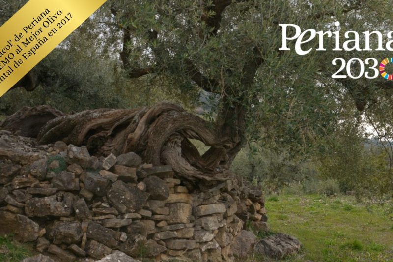  “Periana 2030”, un plan participativo para diseñar un futuro sostenible