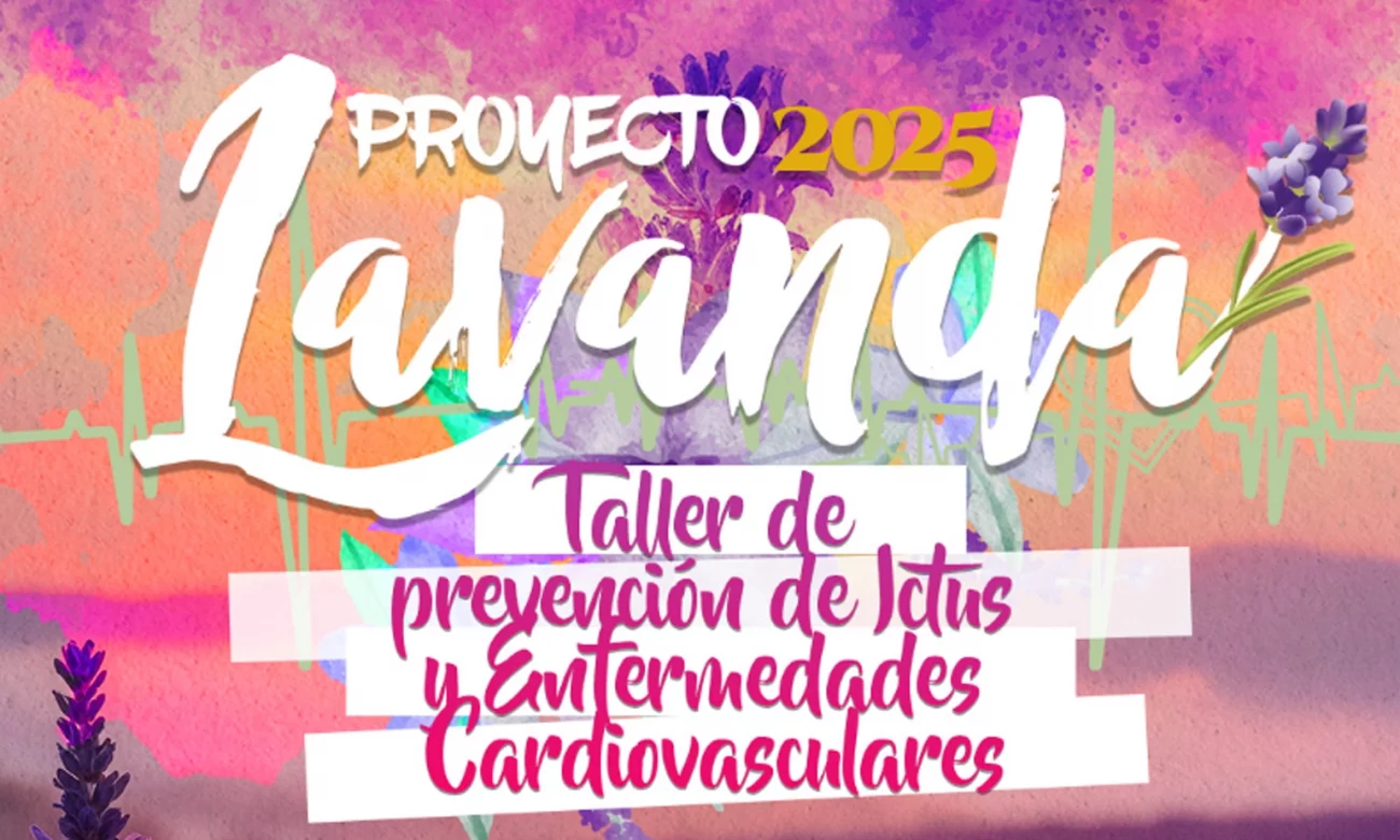 Proyecto lavanda