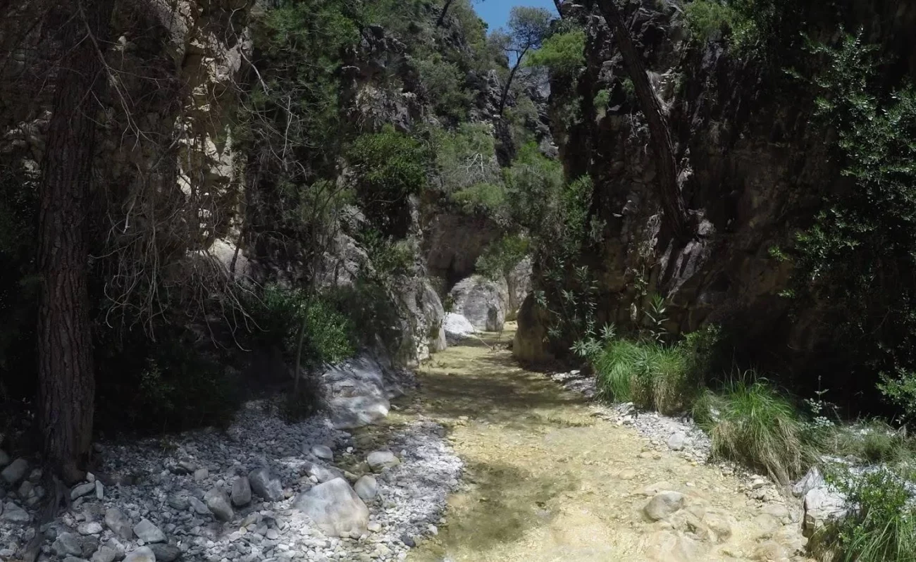 Río Higuerón