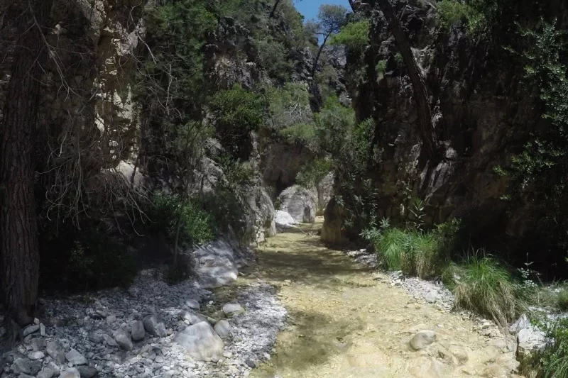 Explora el paraíso natural del río Higuerón en una ruta senderista