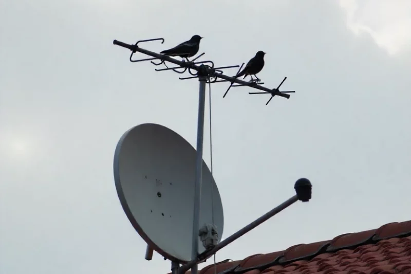 Últimos días para solicitar la adaptación gratuita de la TDT en Alcaucín por la llegada del 4G y 5G