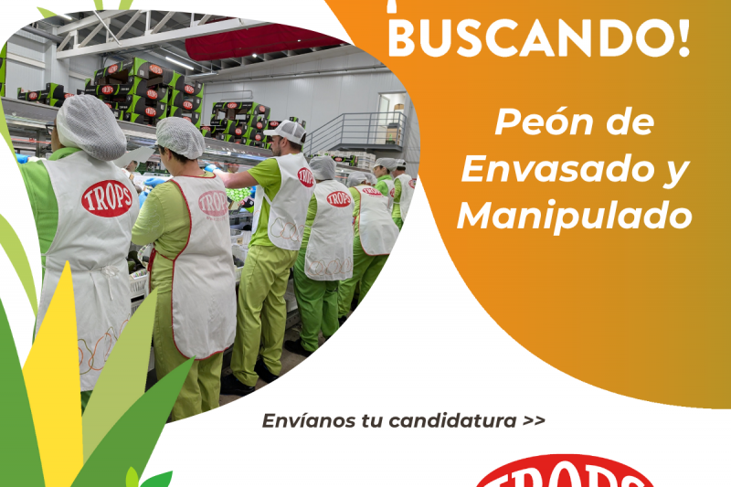 Trops se prepara para la Campaña de Mango 2025 en Vélez-Málaga con 500 puestos de trabajo