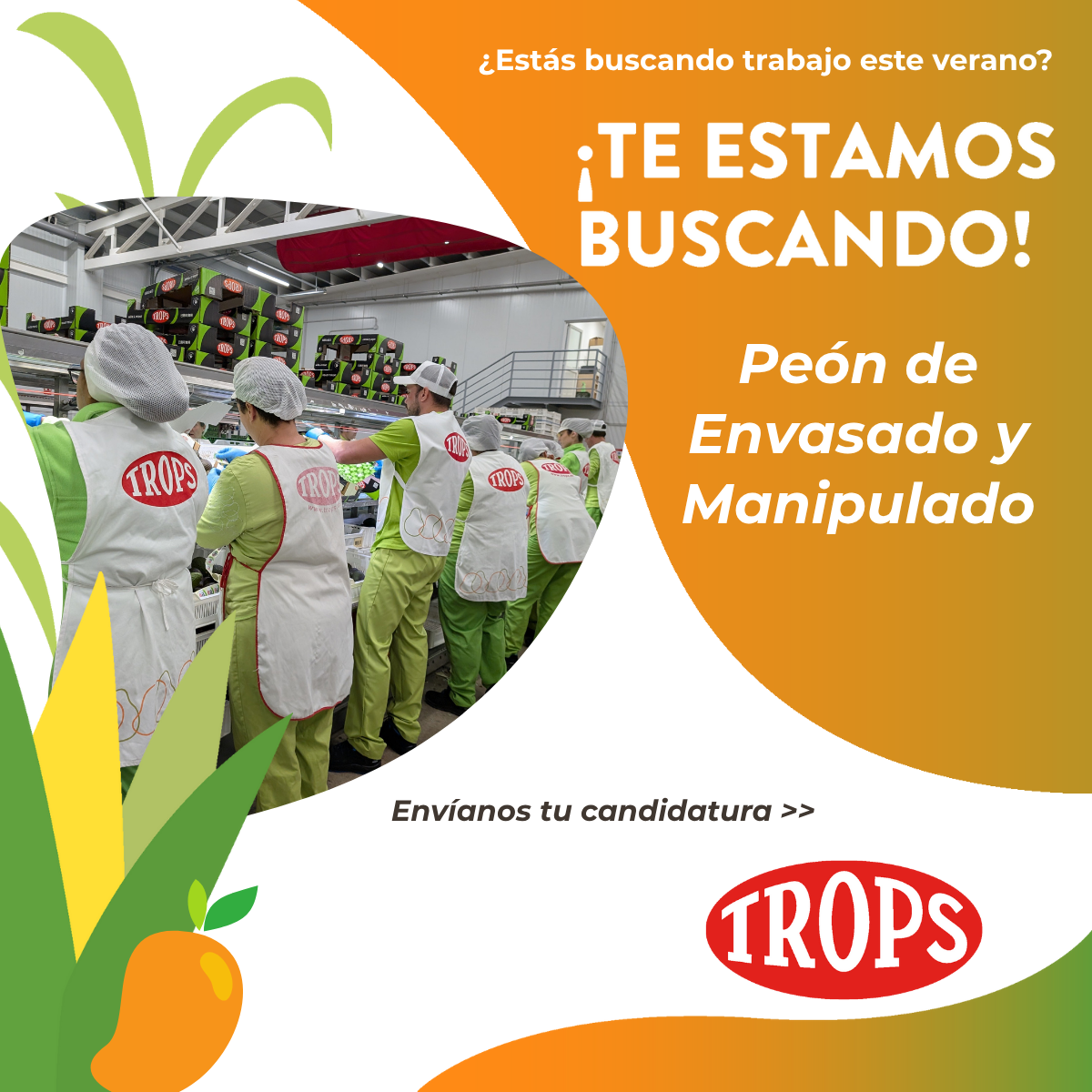 Empleo en Trops