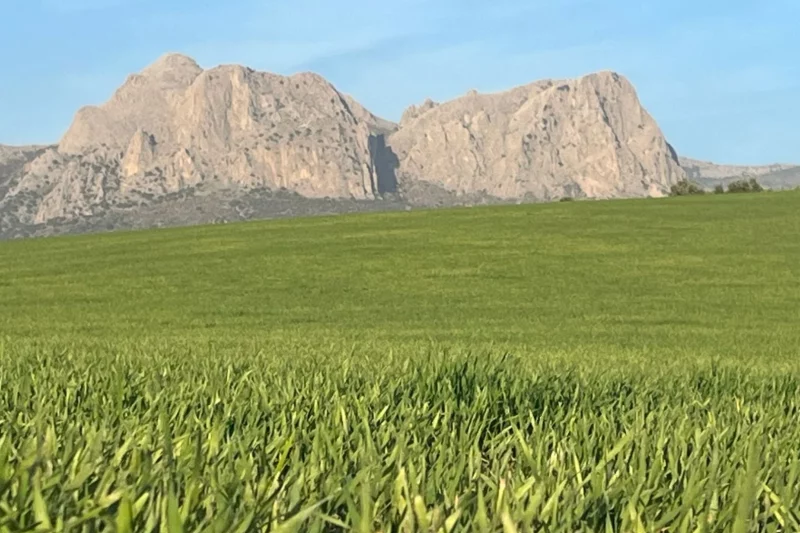Tajos de Sabar en Riogordo