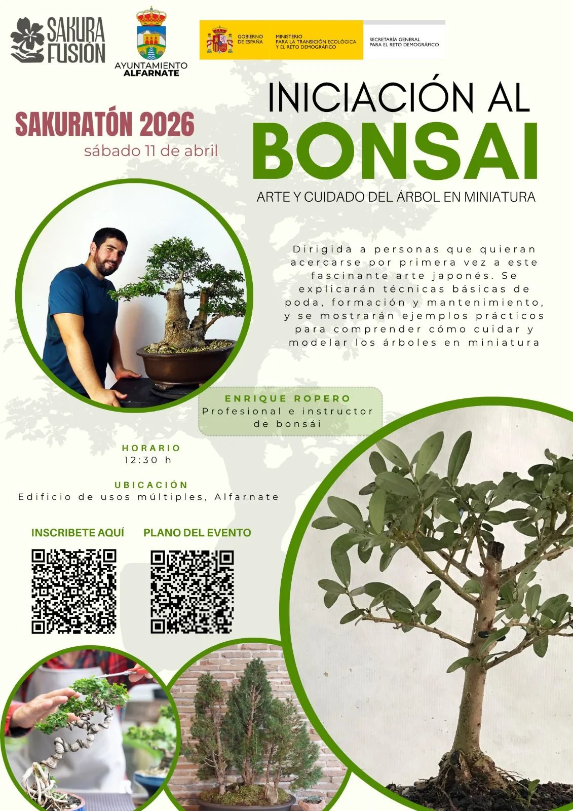 Curso de iniciación al Bonsai en Alfarnate