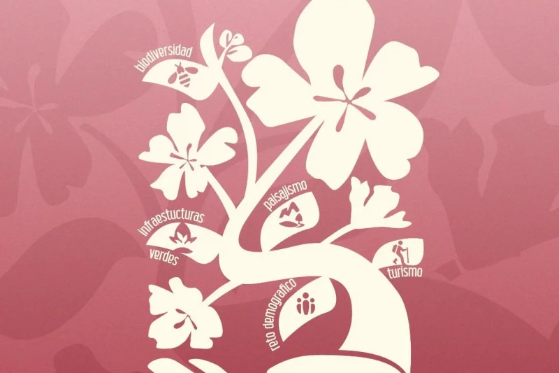 Web de SakuraFusion Alfarnate