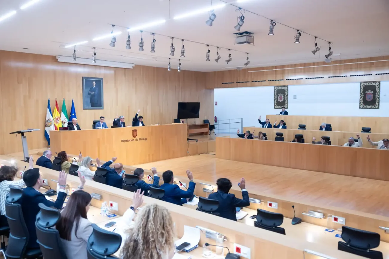 Pleno de la Diputación de Málaga