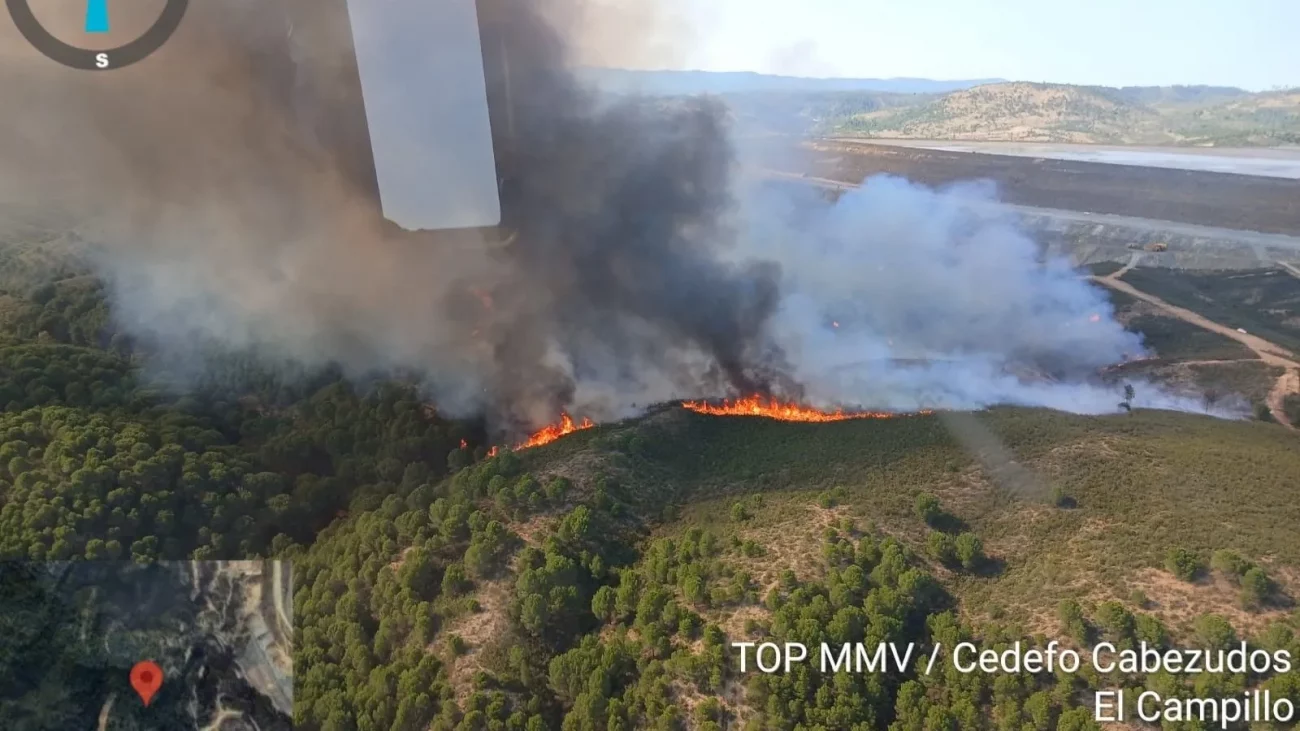 Incendio forestal en Canillas de Aceituno